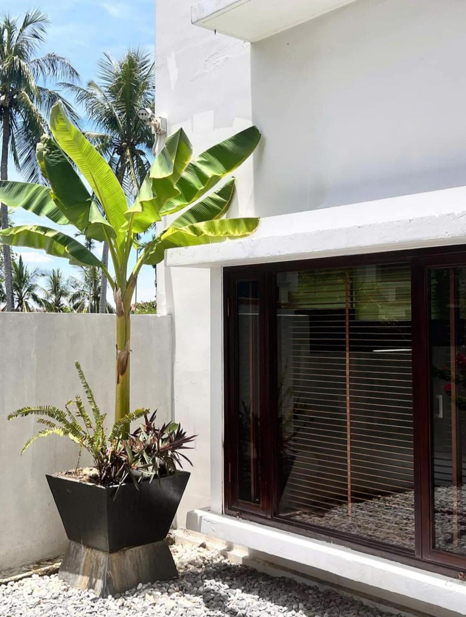 Happy Life Memories Hoi An Hotel & Spa Exteriör bild